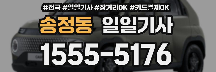 송정동 일일기사