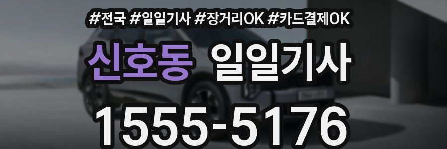 신호동 일일기사