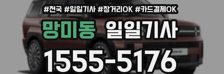 망미동 일일기사