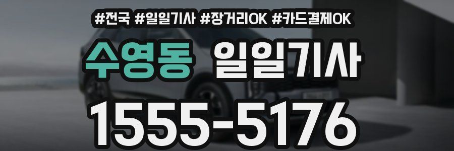 수영동 일일기사