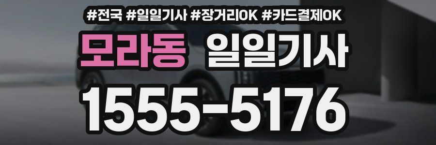 모라동 일일기사