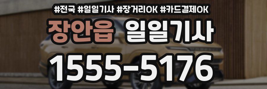 장안읍 일일기사