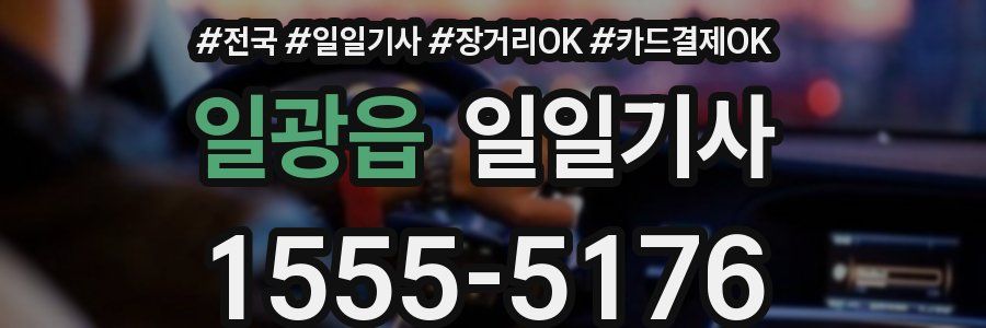 일광읍 일일기사