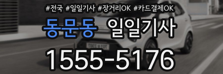 동문동 일일기사