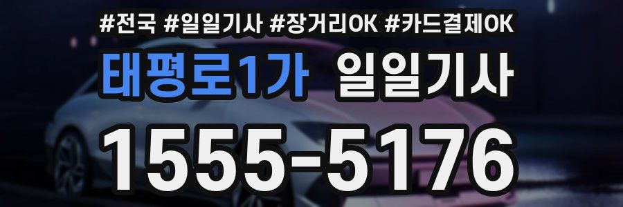 태평로1가 일일기사