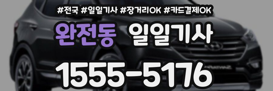 완전동 일일기사