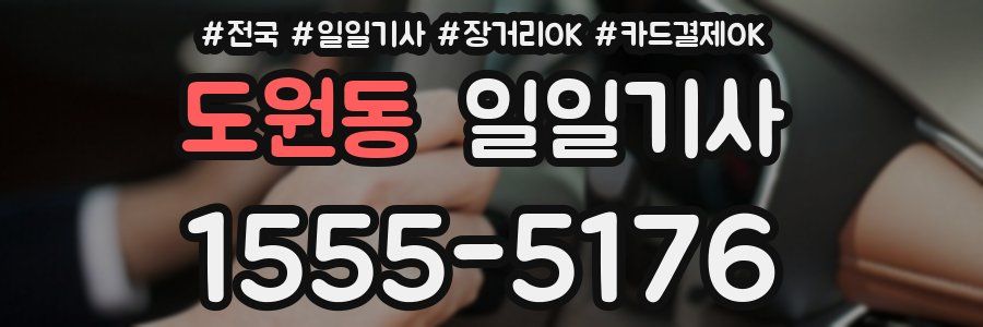 도원동 일일기사