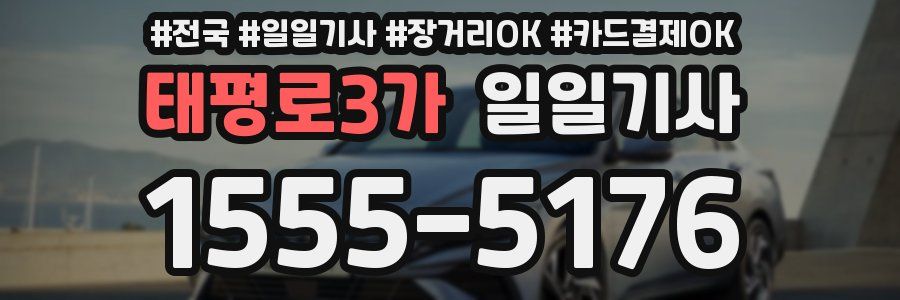 태평로3가 일일기사