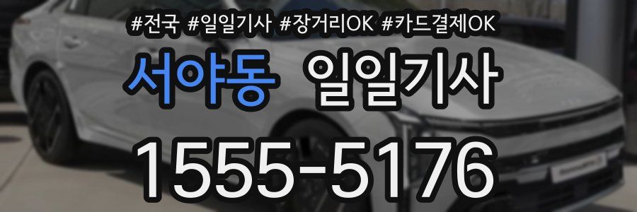 서야동 일일기사