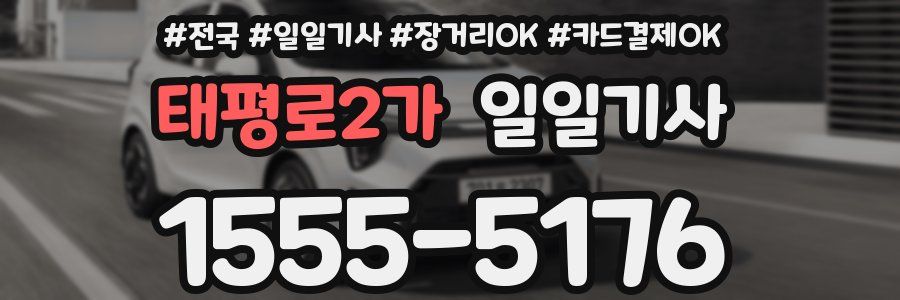 태평로2가 일일기사