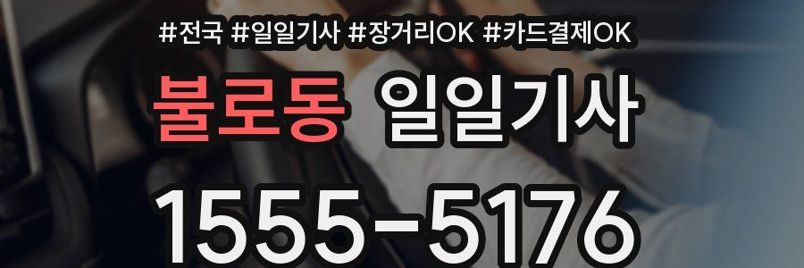 불로동 일일기사