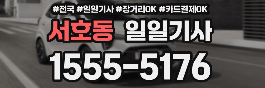 서호동 일일기사