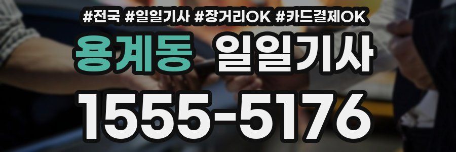 용계동 일일기사