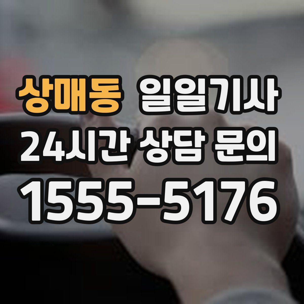 일일기사