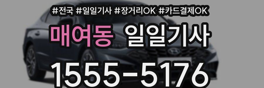 매여동 일일기사