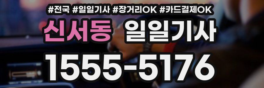 신서동 일일기사