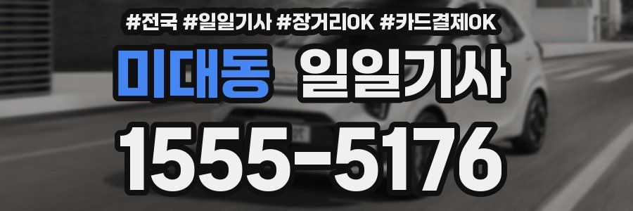 미대동 일일기사
