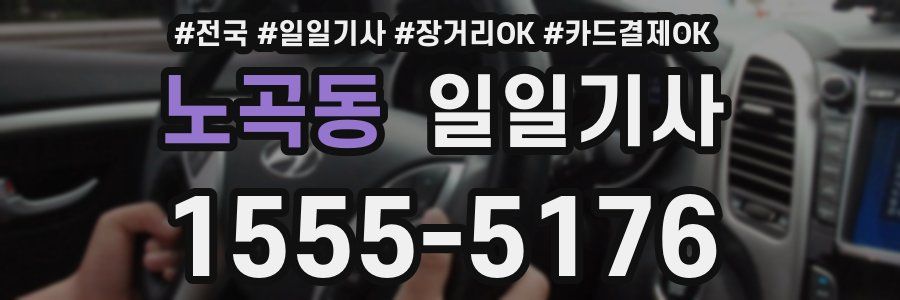 노곡동 일일기사