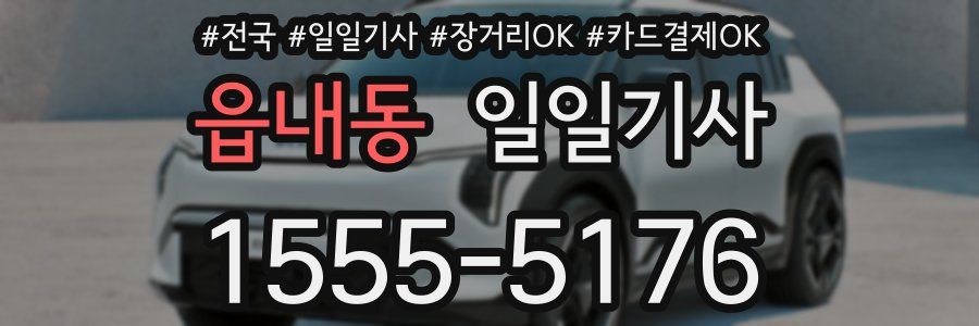 읍내동 일일기사