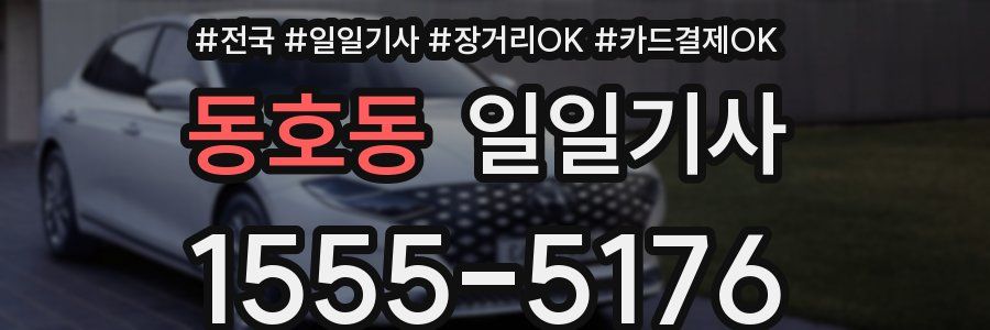 동호동 일일기사