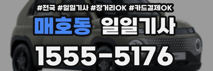 매호동 일일기사