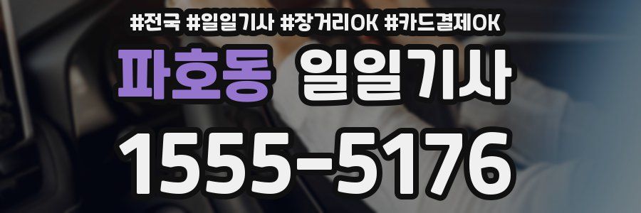 파호동 일일기사