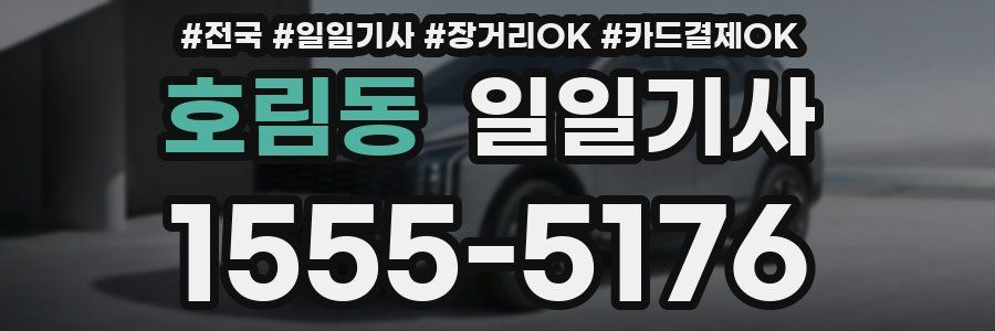 호림동 일일기사