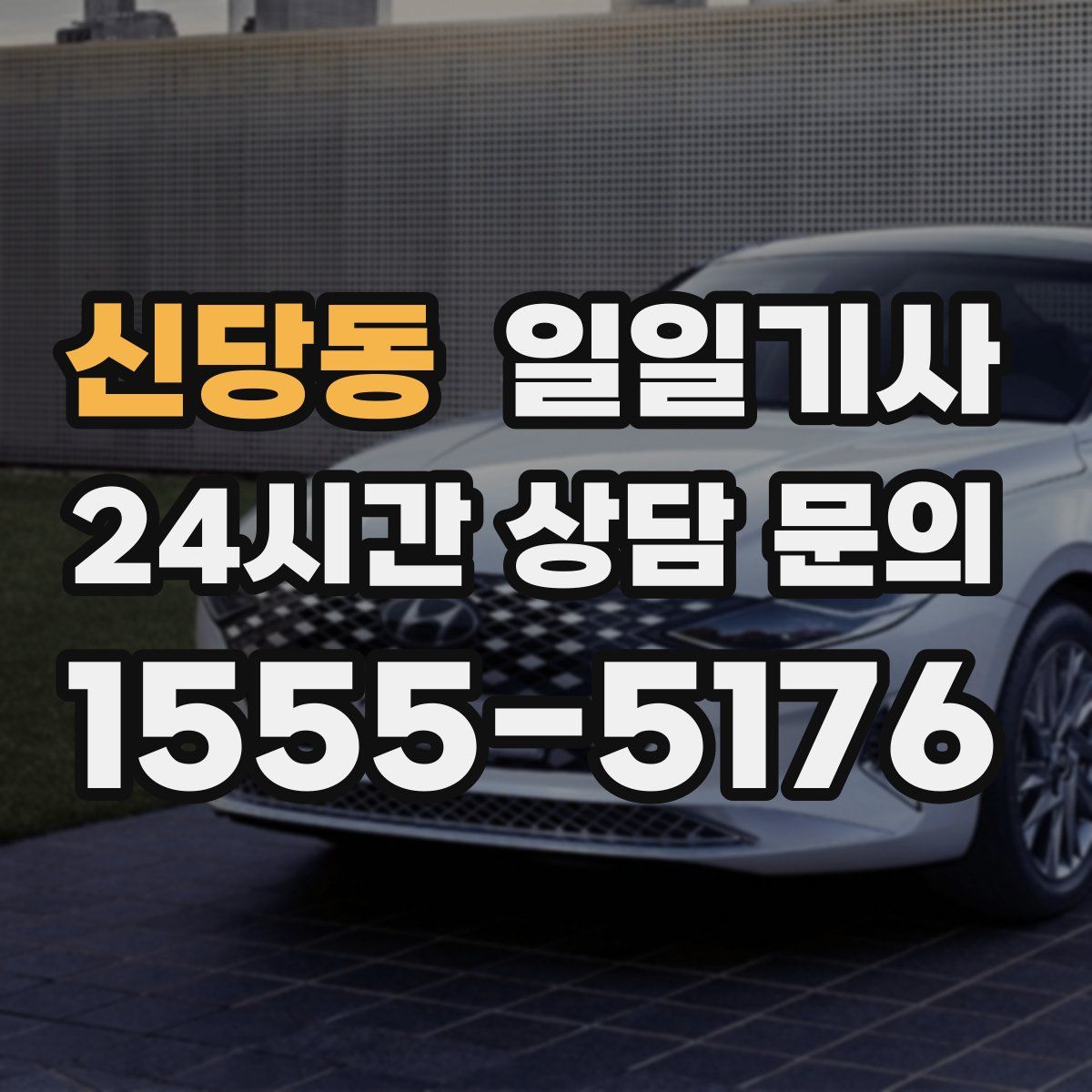 일일기사