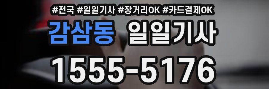 감삼동 일일기사