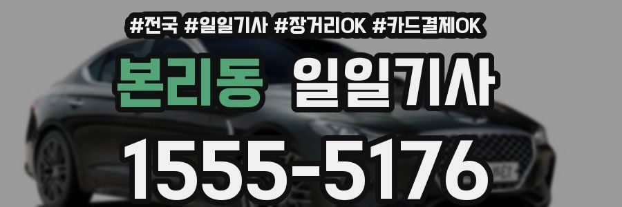 본리동 일일기사