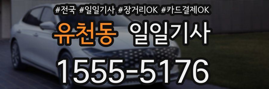 유천동 일일기사