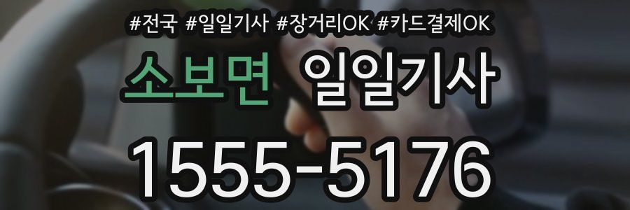 소보면 일일기사