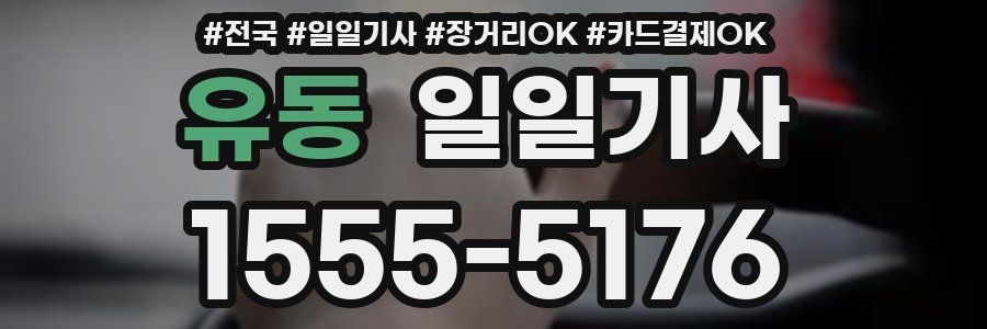 유동 일일기사