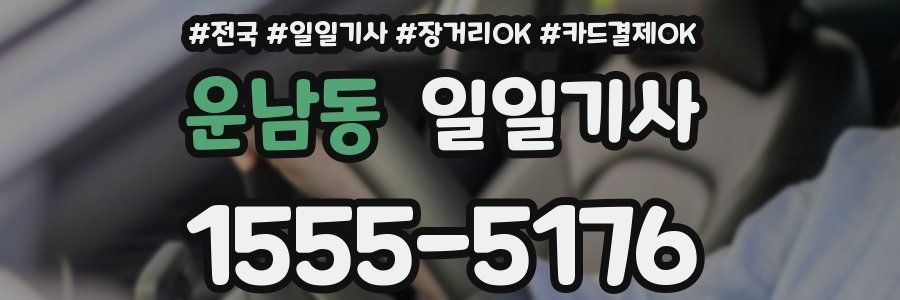 운남동 일일기사