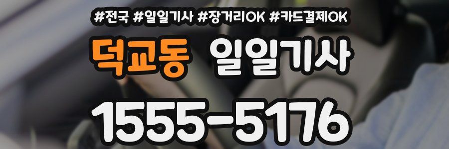 덕교동 일일기사