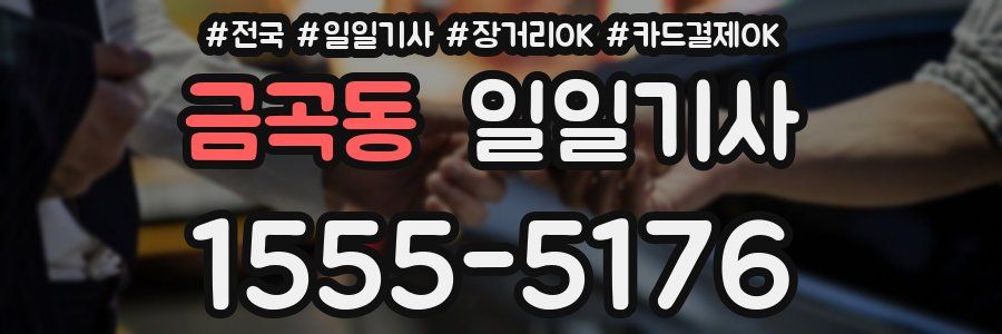 금곡동 일일기사