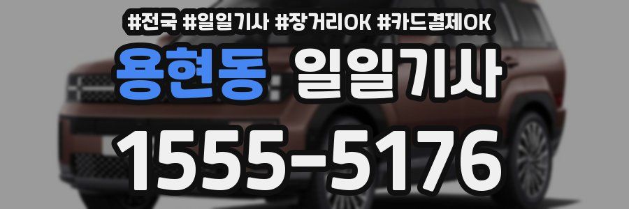 용현동 일일기사