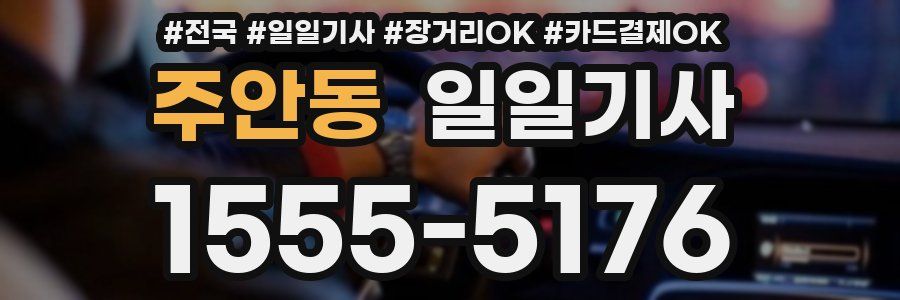 주안동 일일기사