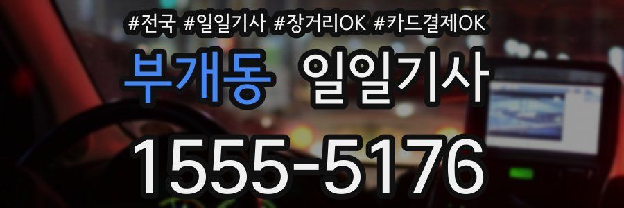 부개동 일일기사