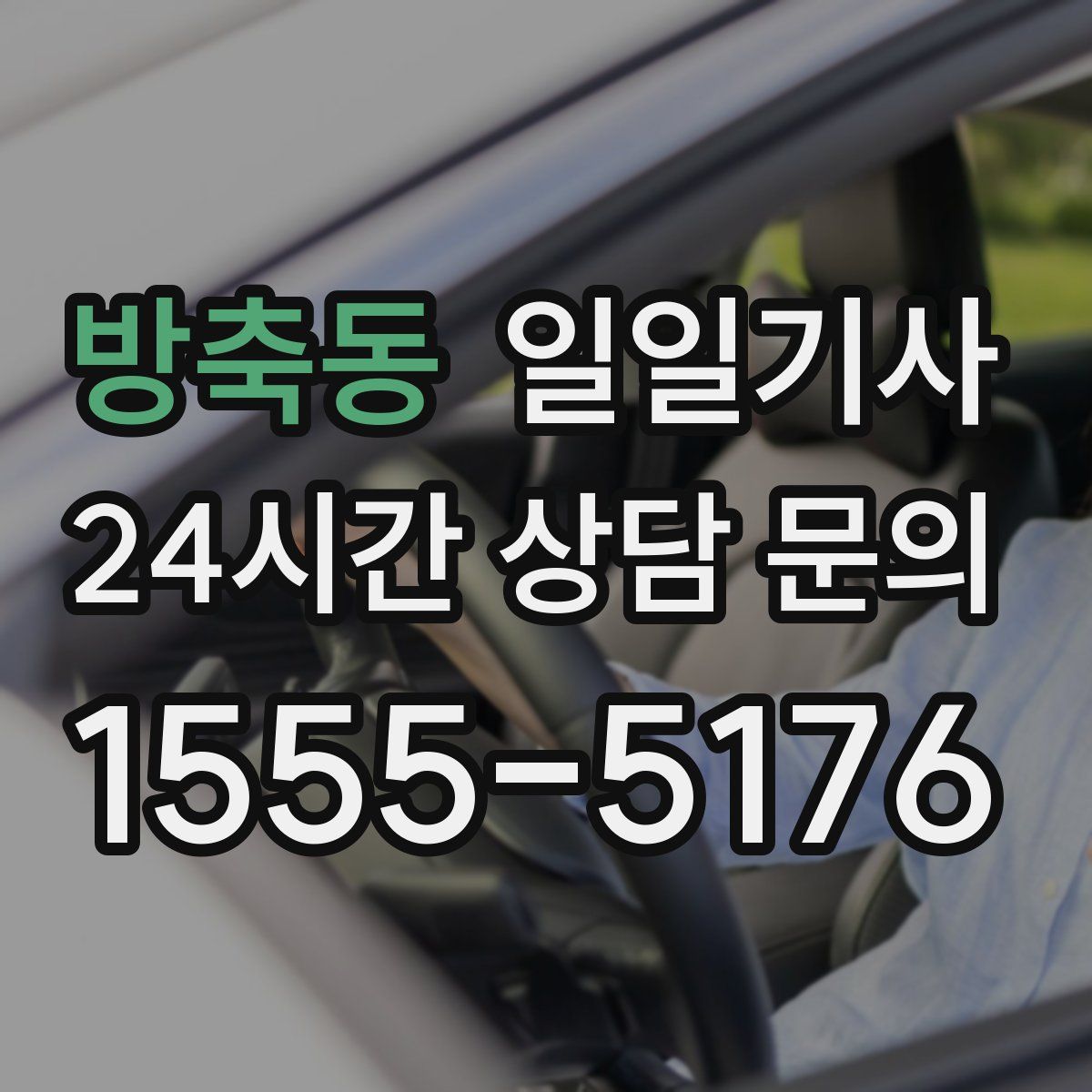 일일기사