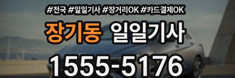 장기동 일일기사