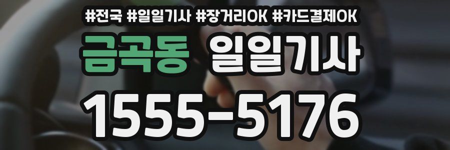 금곡동 일일기사