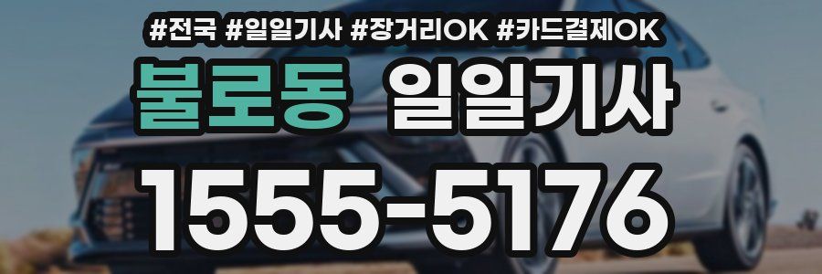 불로동 일일기사