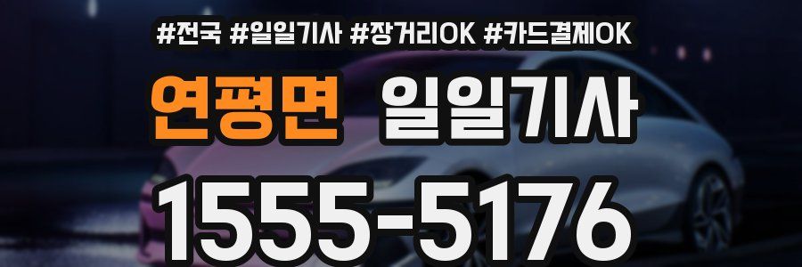 연평면 일일기사