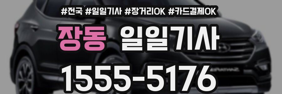 장동 일일기사