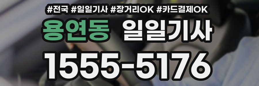 용연동 일일기사