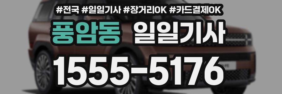 풍암동 일일기사