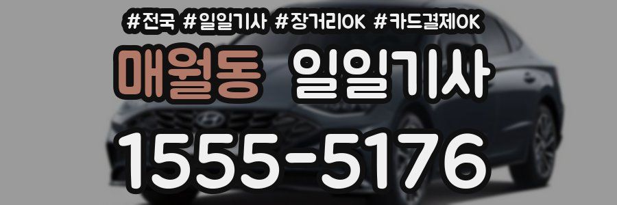 매월동 일일기사