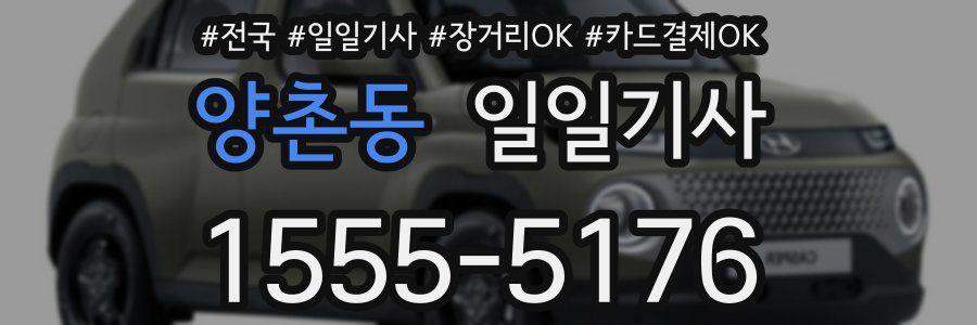 양촌동 일일기사