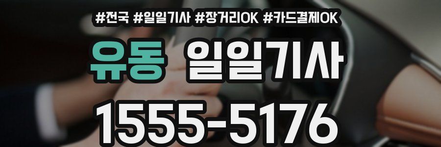 유동 일일기사